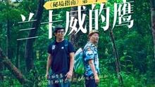 春雨直播app
